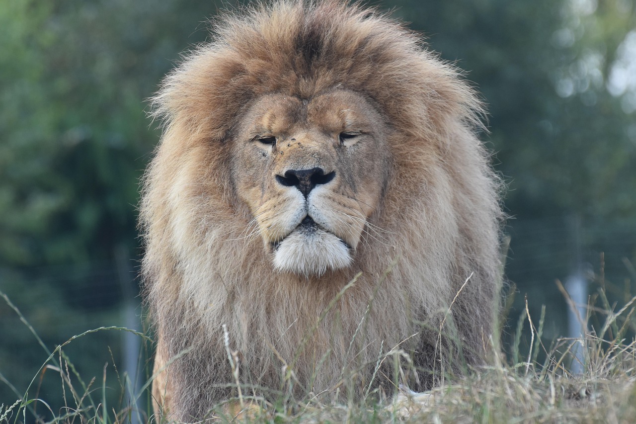全國最新開獎信息一網打盡，更新動態全掌握