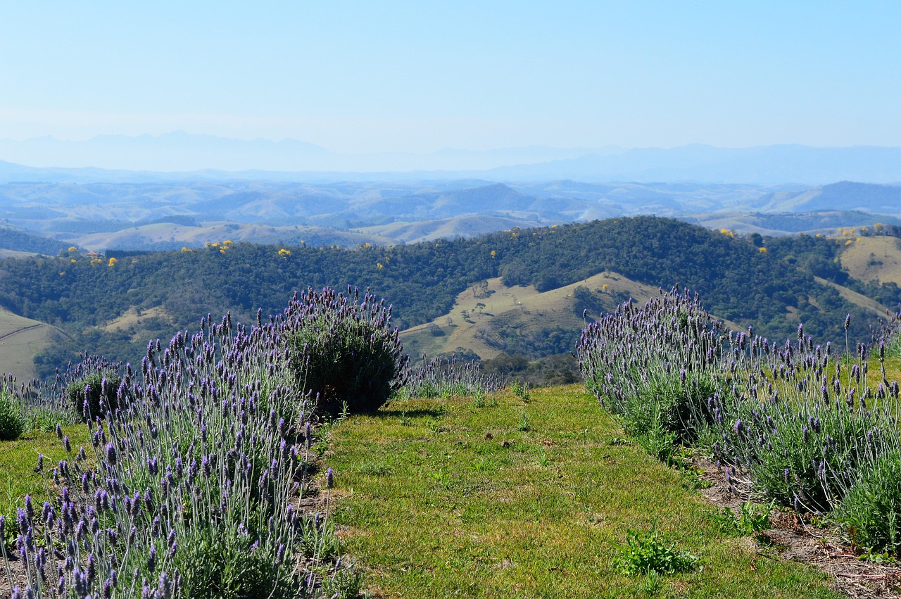 泰興最新風(fēng)光圖,城市新顏與鄉(xiāng)村魅力的完美融合展現(xiàn)