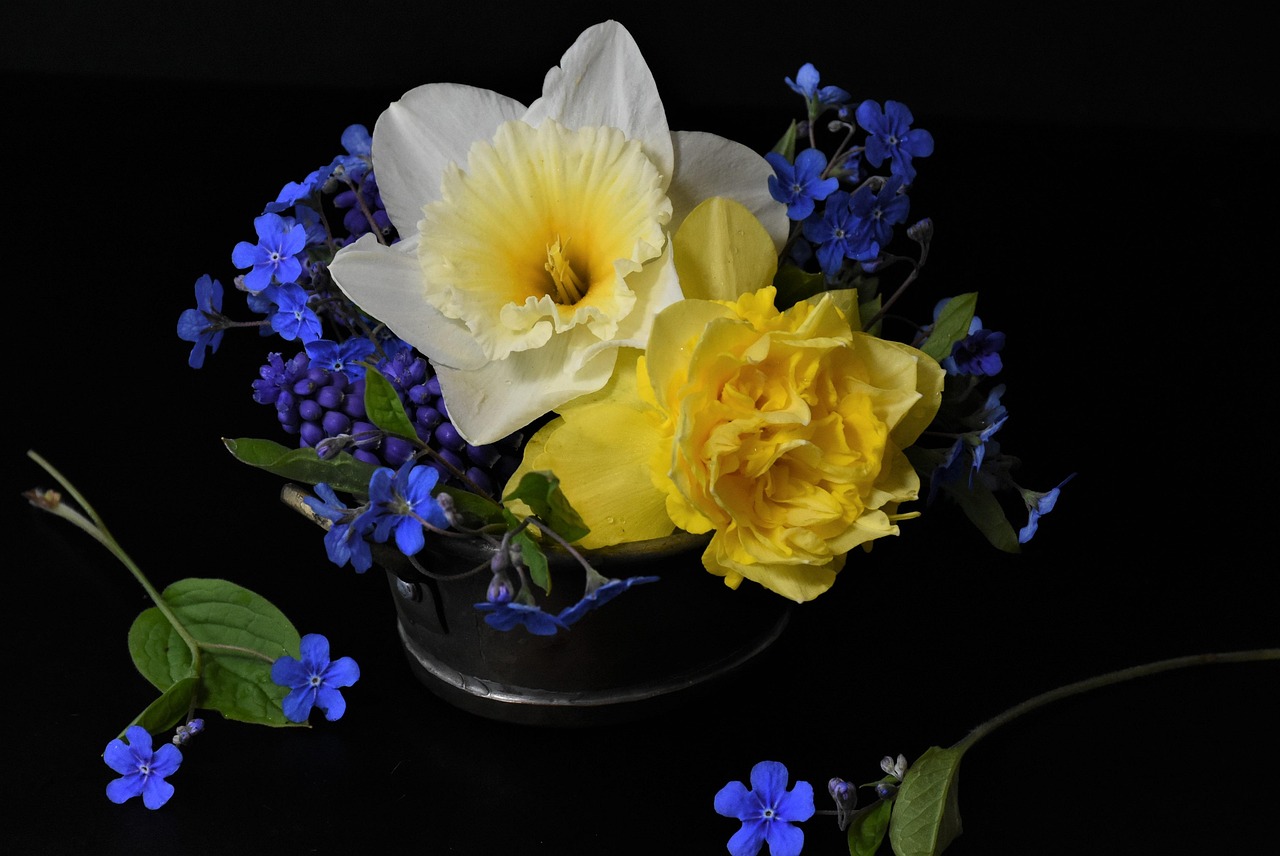 微信頭像男動漫，個性與文化的完美交融探索