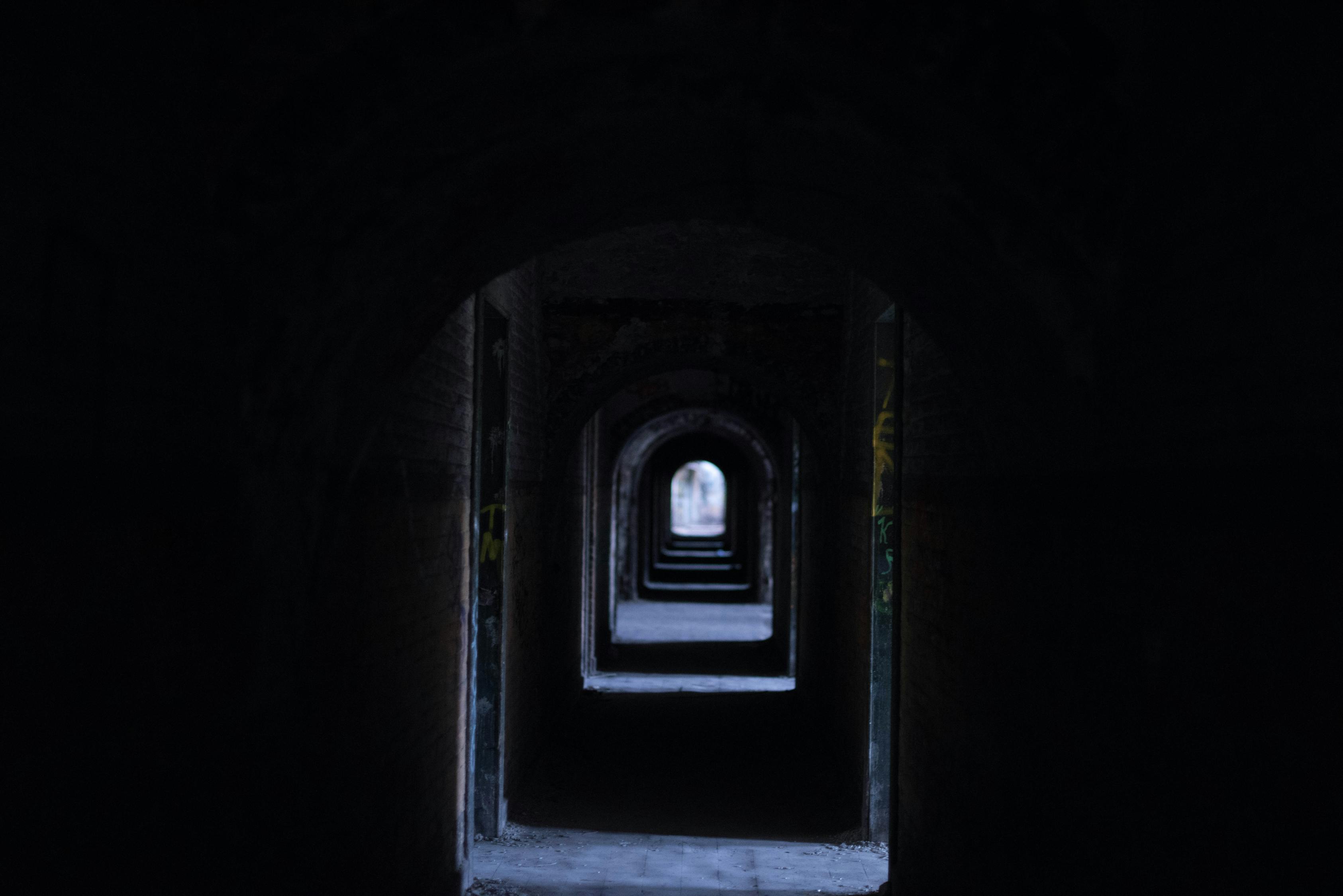 重慶景區最新動態揭秘，探索城市新面貌的無限魅力