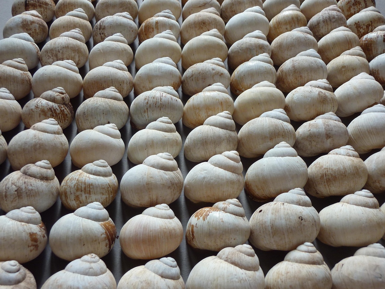 部隊住房改革最新動態，邁向高質量生活保障的步伐