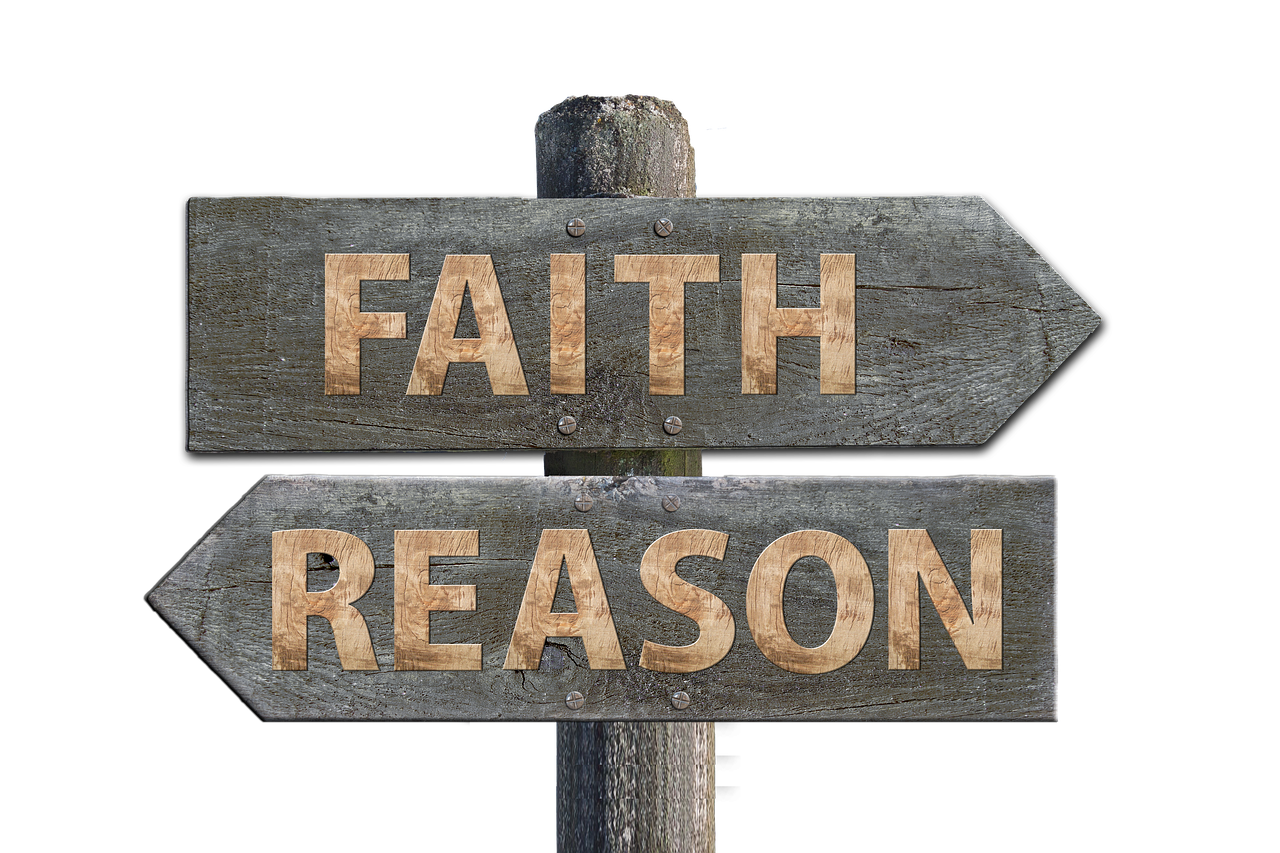 今日羊肉價格動態，市場走勢、影響因素與未來趨勢深度解析