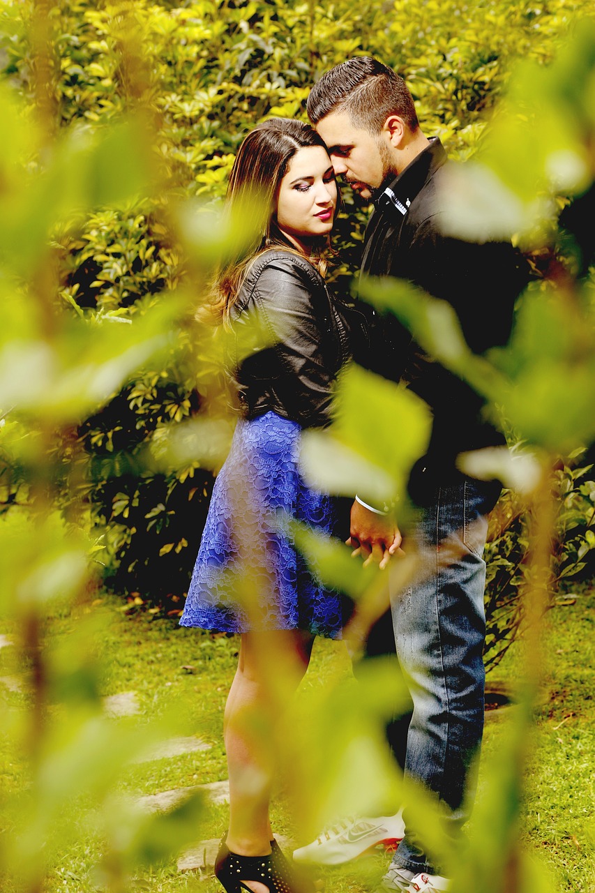 談情說案演員表揭秘,情感推理劇的精彩群像