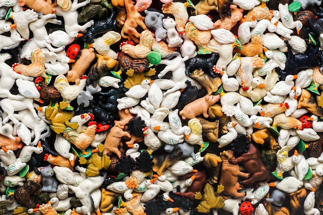 掛雞王比賽,別開生面的競技盛宴