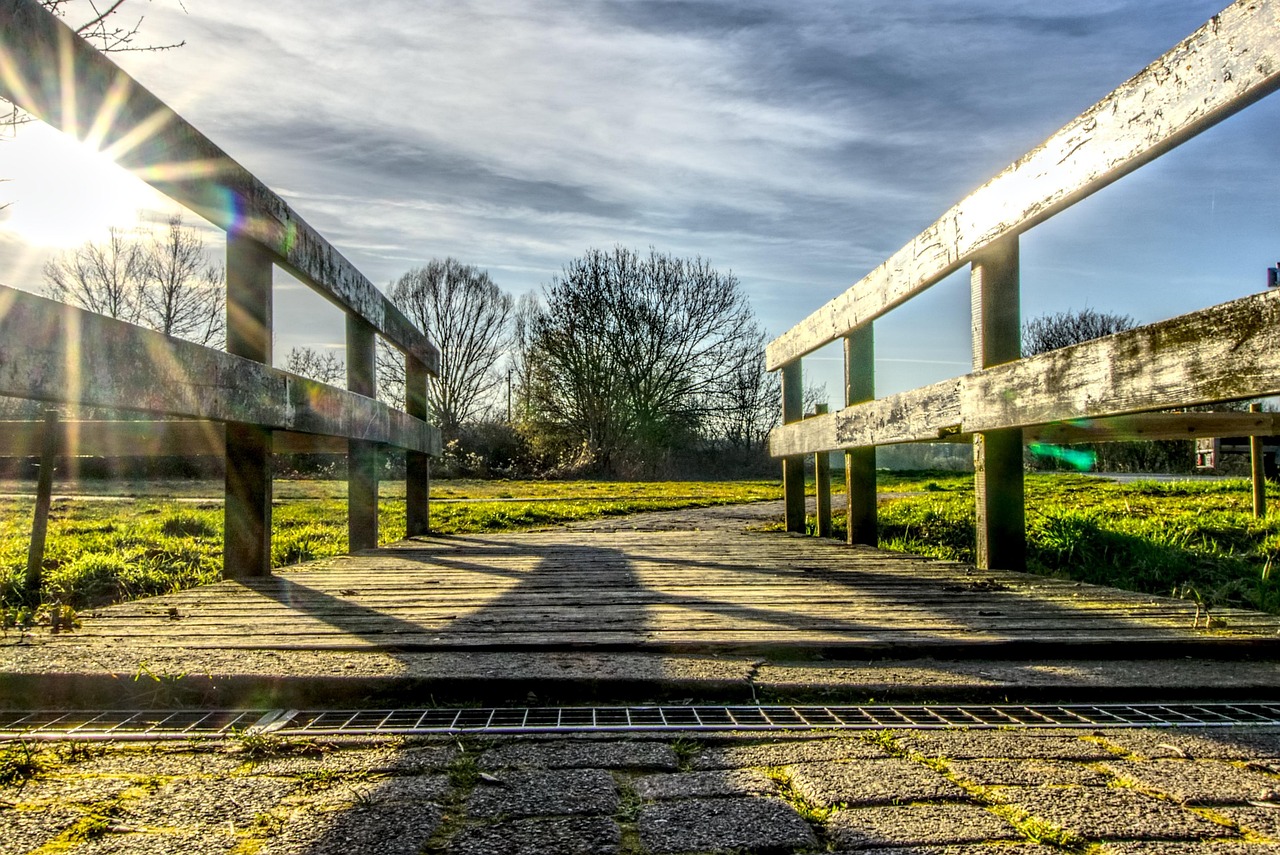 林心如最新動態,明星之光的持續閃耀