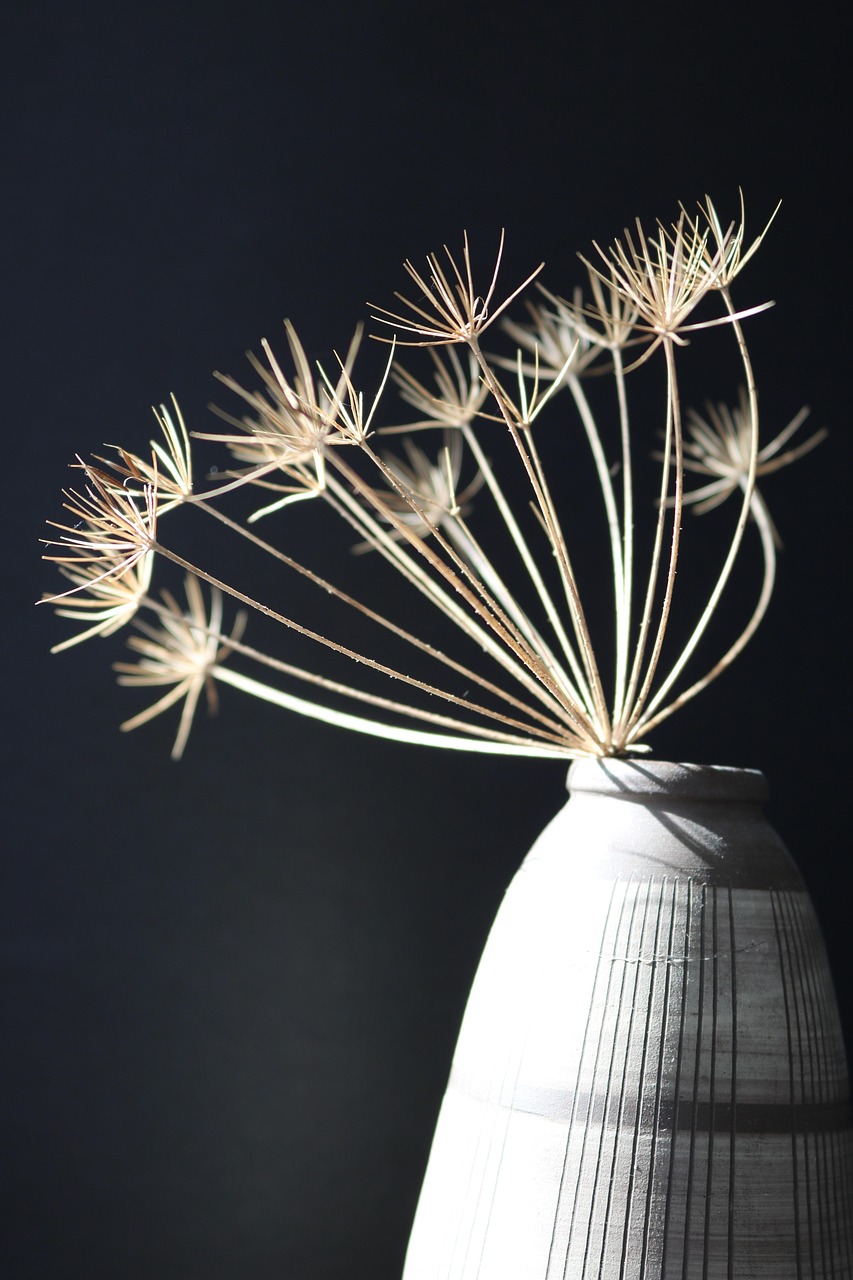 最新貴州民歌精選,傳承演繹民族音樂之美韻律韻律韻律韻律韻律韻律韻律韻律韻律韻律韻律韻律韻律韻律韻律韻律韻律韻律韻律的美妙旋律