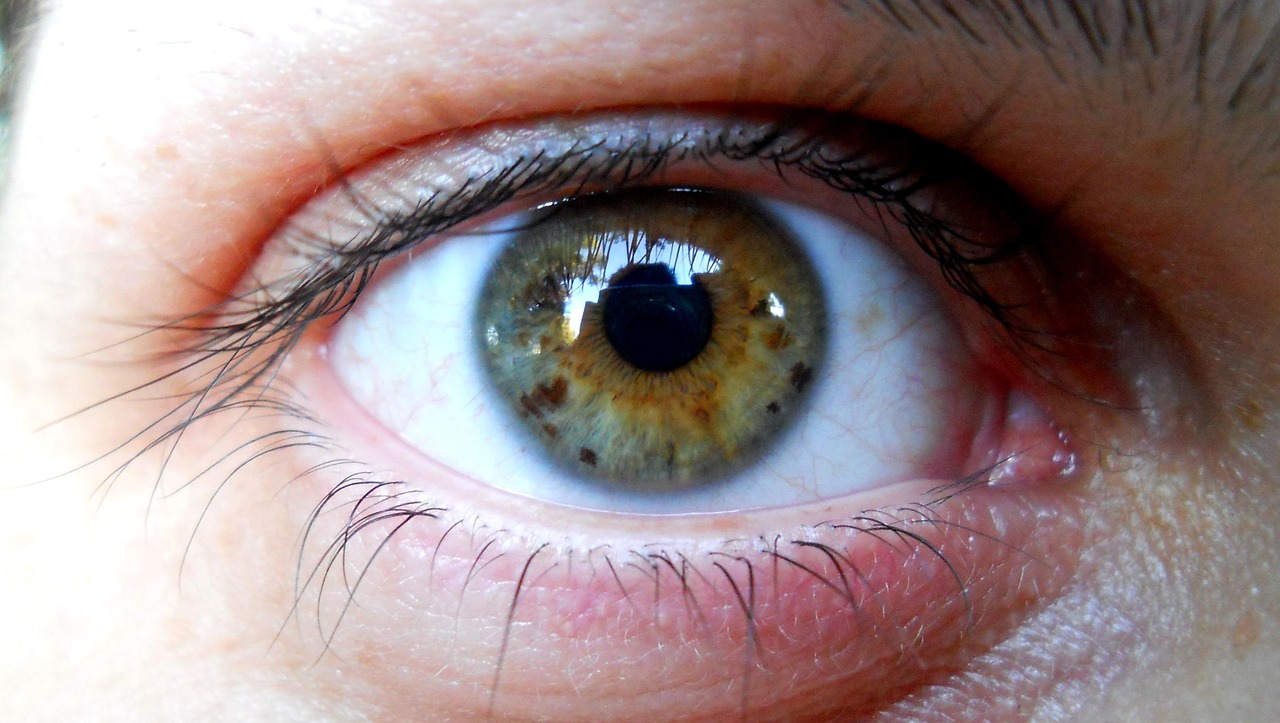 揭秘商業巨頭不為人知的背后故事,神秘總裁最新動態曝光