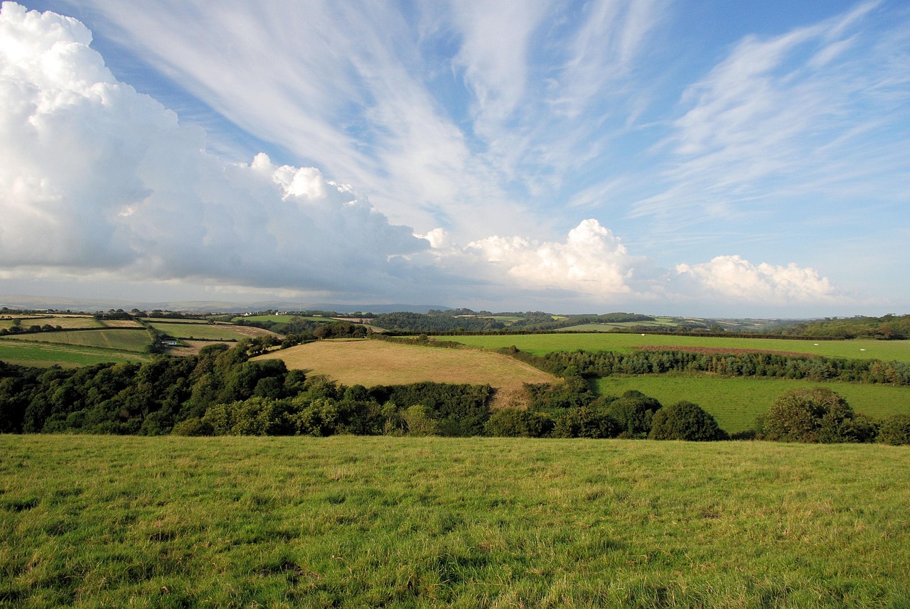 駿景農(nóng)業(yè)最新氣象預(yù)報(bào),洞悉氣象變化,助力農(nóng)業(yè)生產(chǎn)發(fā)展