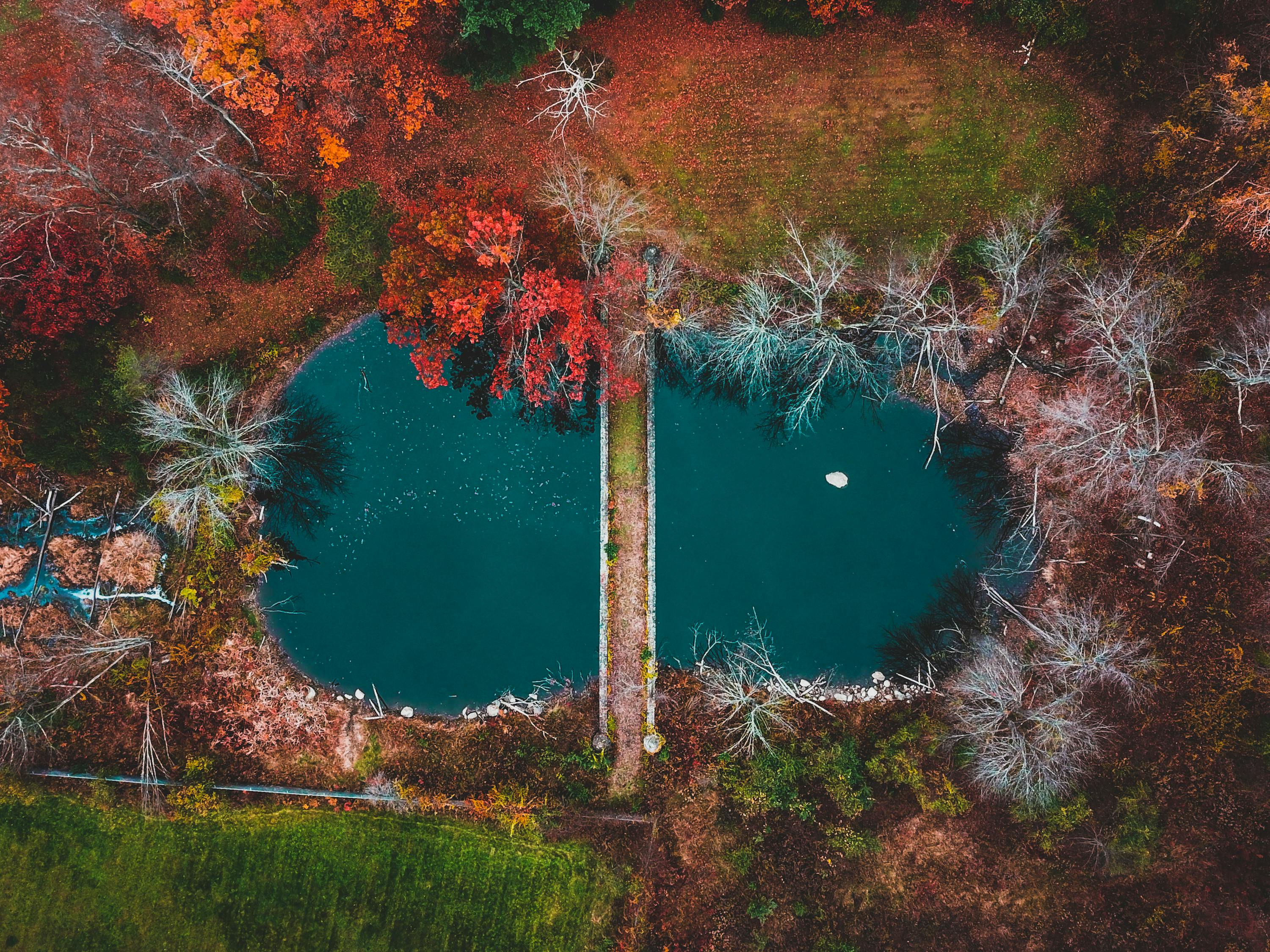 鳳江湖新址,歷史與未來的交匯之地