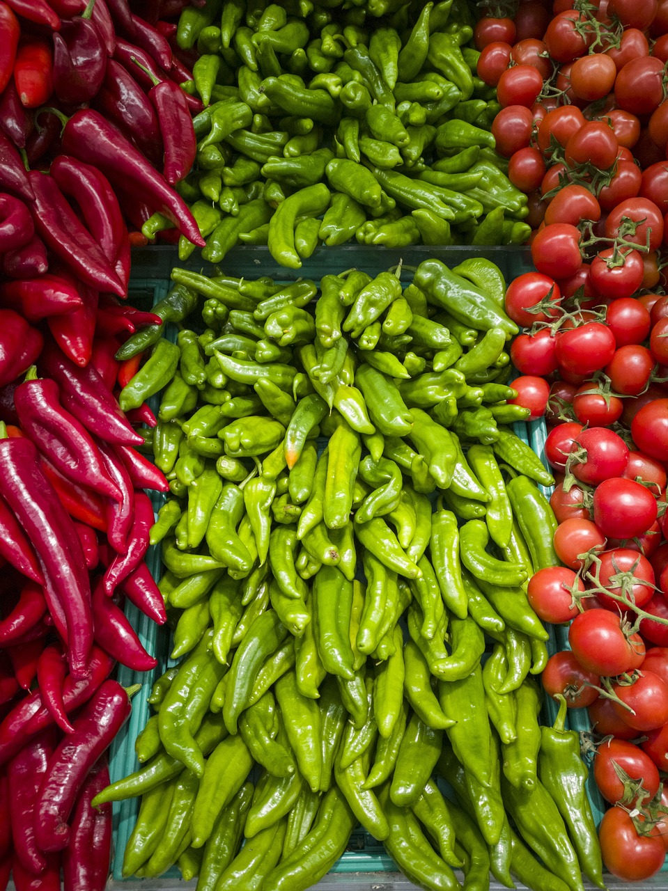 辣椒產(chǎn)業(yè)熱辣世界探索資訊