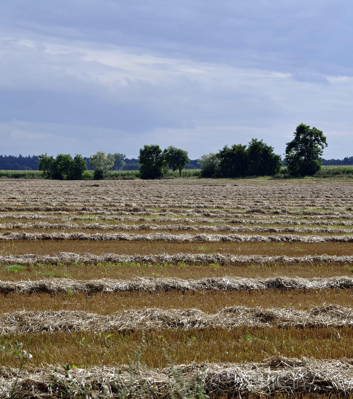 探索收藏領域最新動態與趨勢,最新藏品資訊一覽
