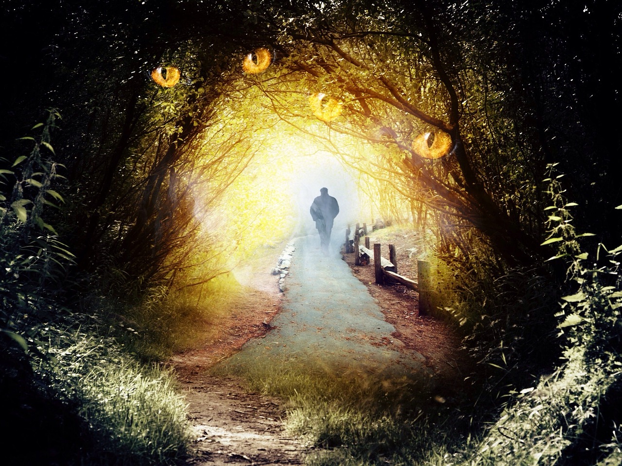 邪咒電影,神秘與恐怖的交織藝術探索