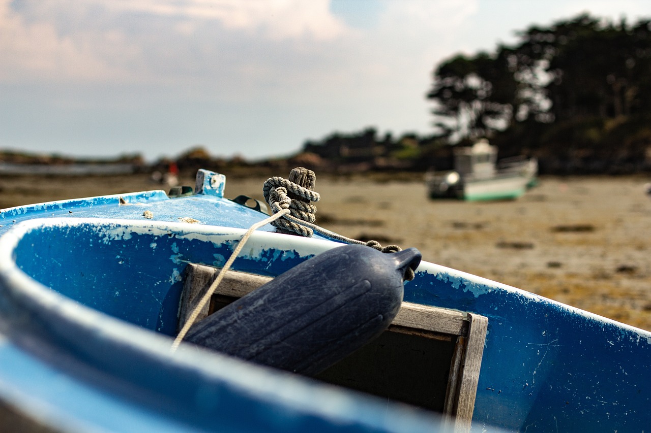 龍華疫情最新動態,全面應對,守護家園安寧安全