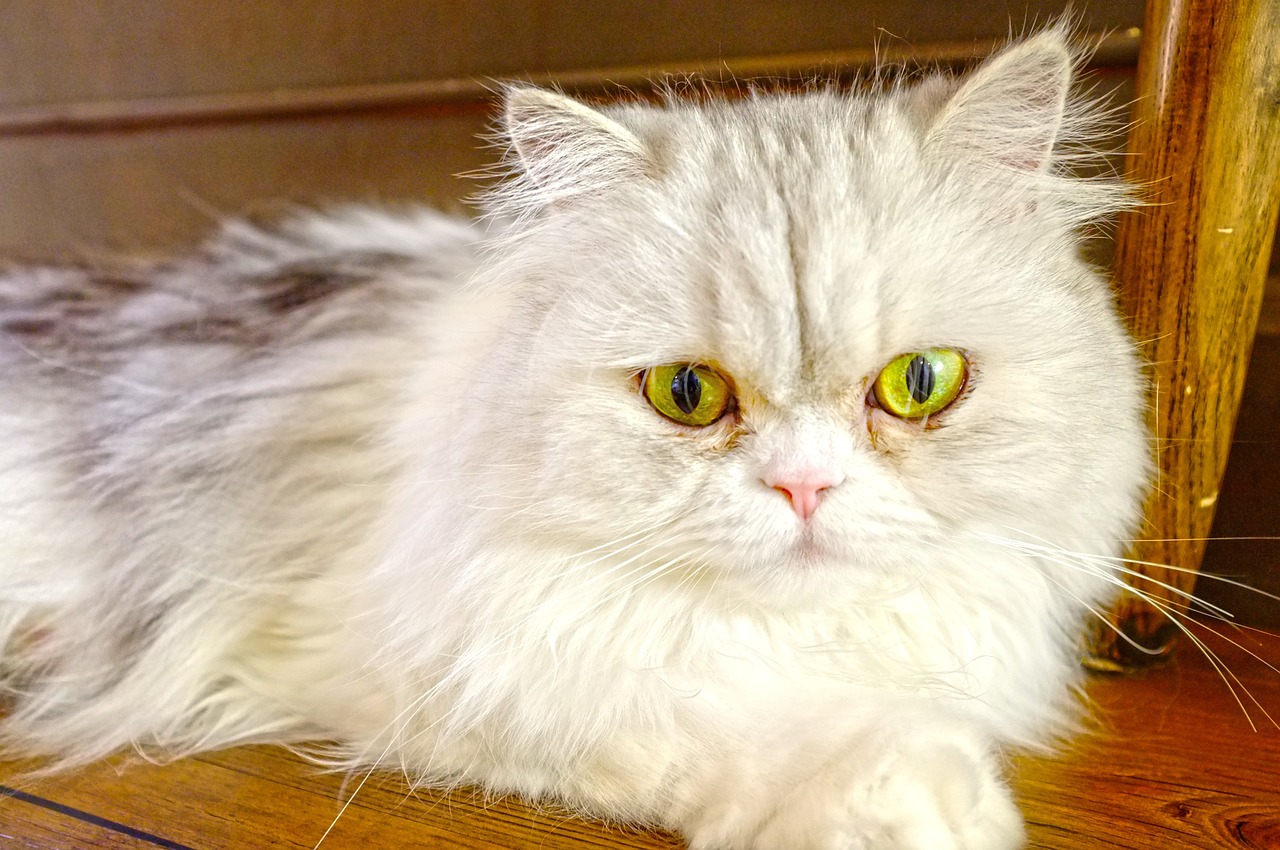 割雙眼皮價格詳解,費用因素全面解析