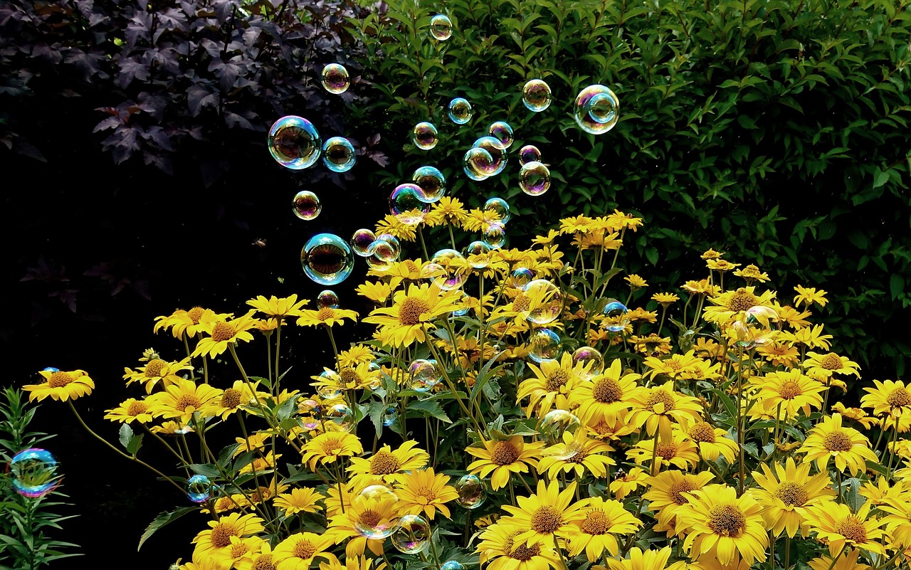 天門人事任免信息詳解及最新動態