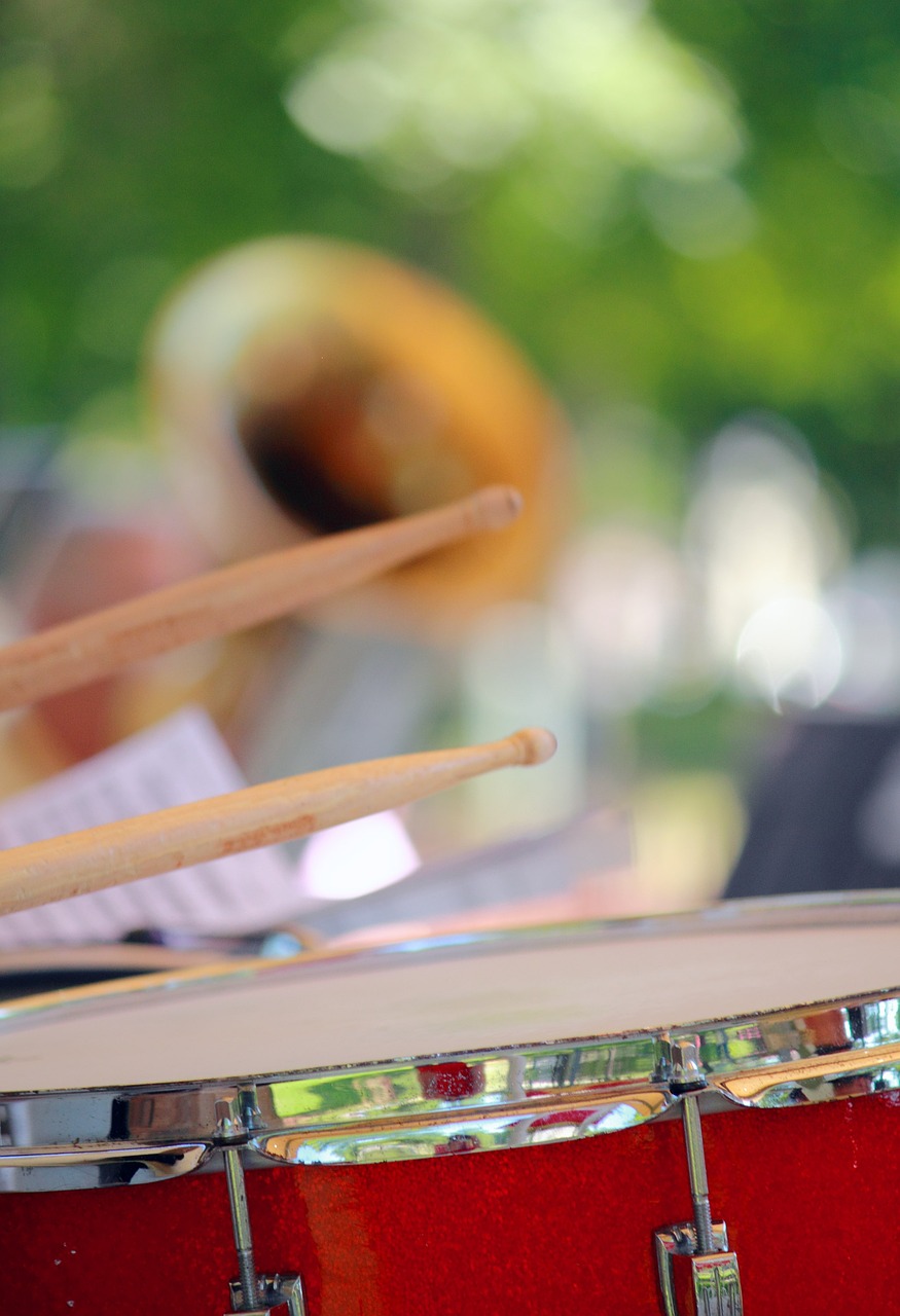 山東生豬價格最新動態及今日豬價分析