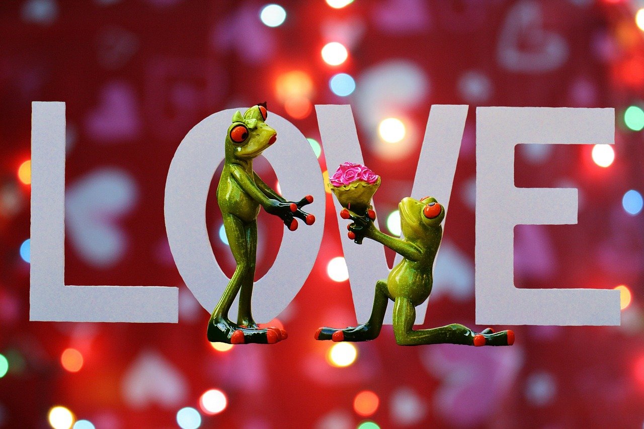 最新法官宣誓詞，正義的天平永恒閃耀的光輝誓言