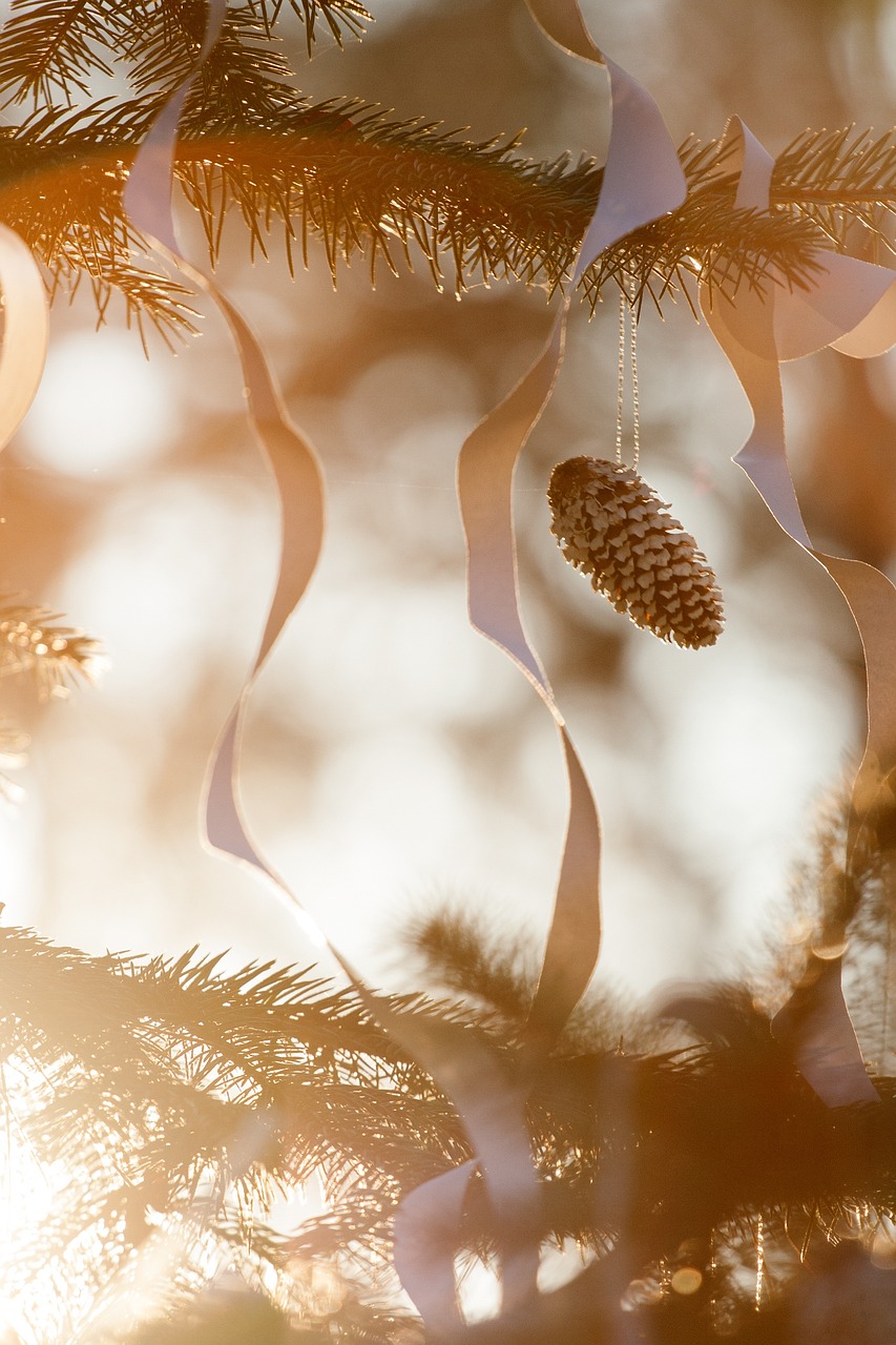 新芝麻上市季節,時間與季節的輪回