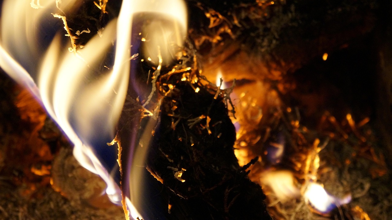 生命的消逝與無盡的懷念,明星死亡名單回顧