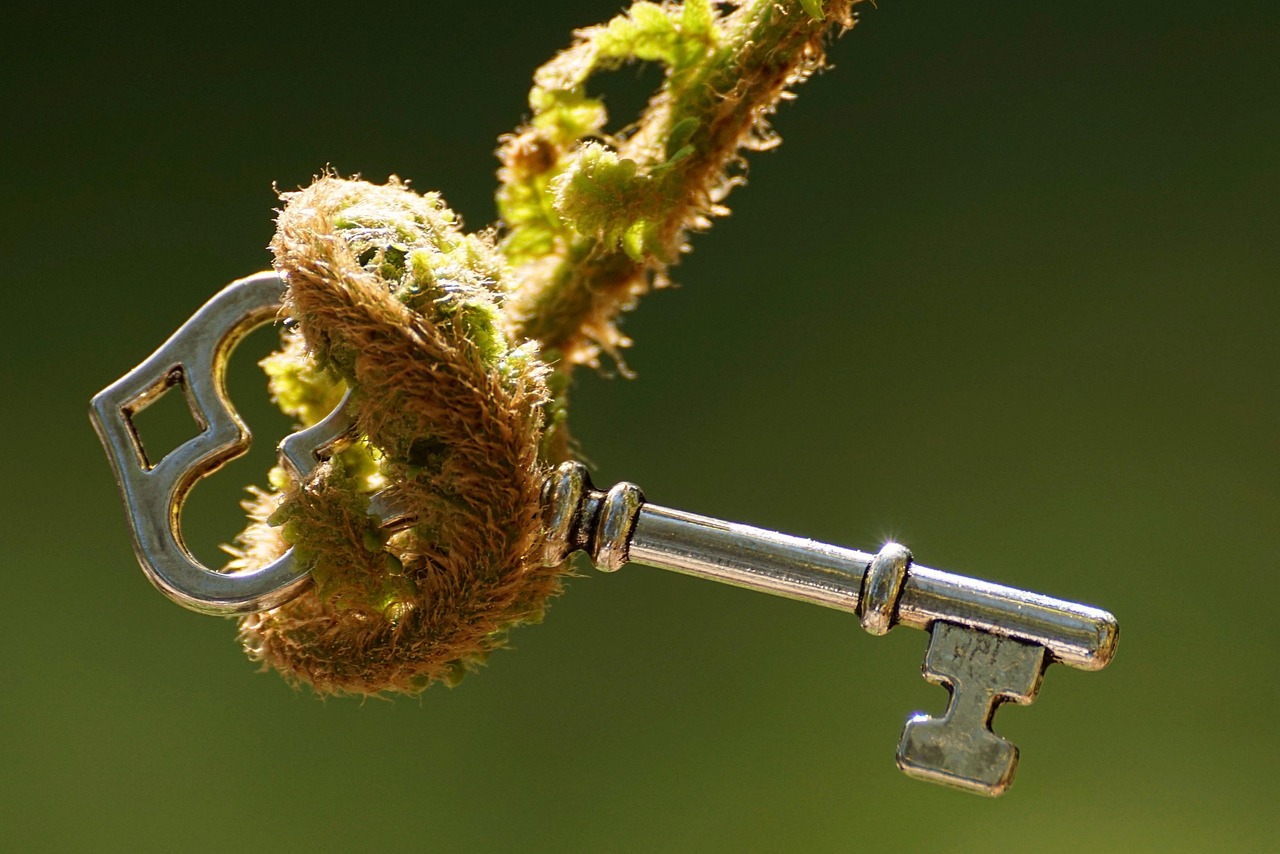 中鋼集團邁向高質量發展新征程的最新動態