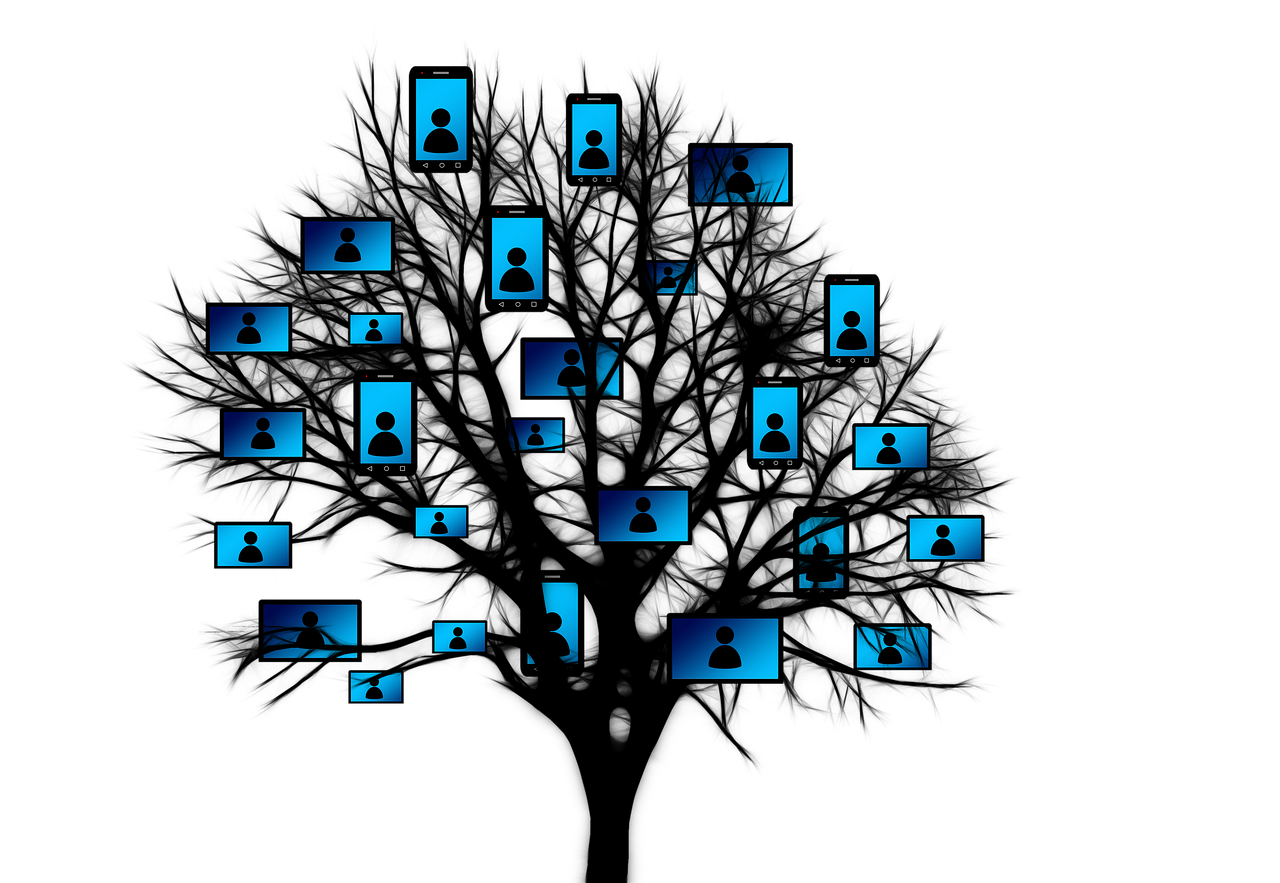 浙江平湖新埭最新房價信息更新今日動態(tài)