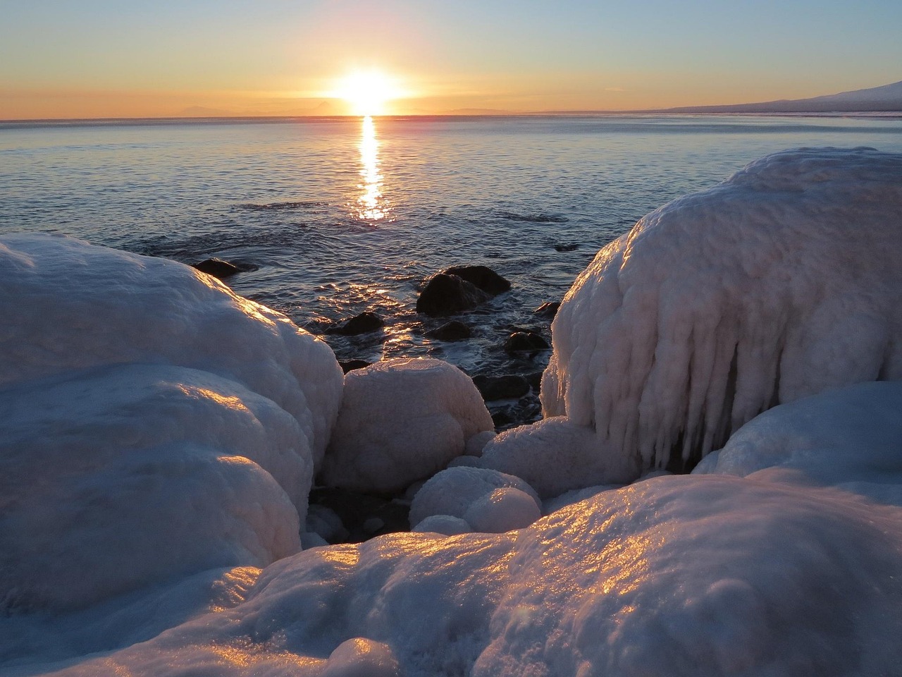 巴南海洋公園最新資訊，今日焦點報道