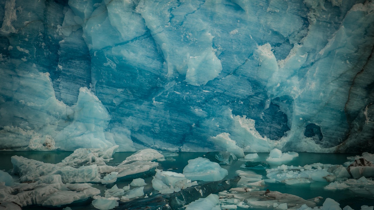 今日新希望最新動態(tài)2017年,堅定邁向未來的步伐
