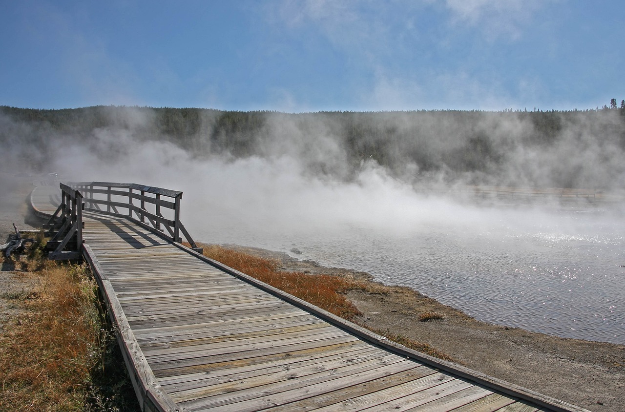 長沙萬科森林公園最新動態更新今日消息