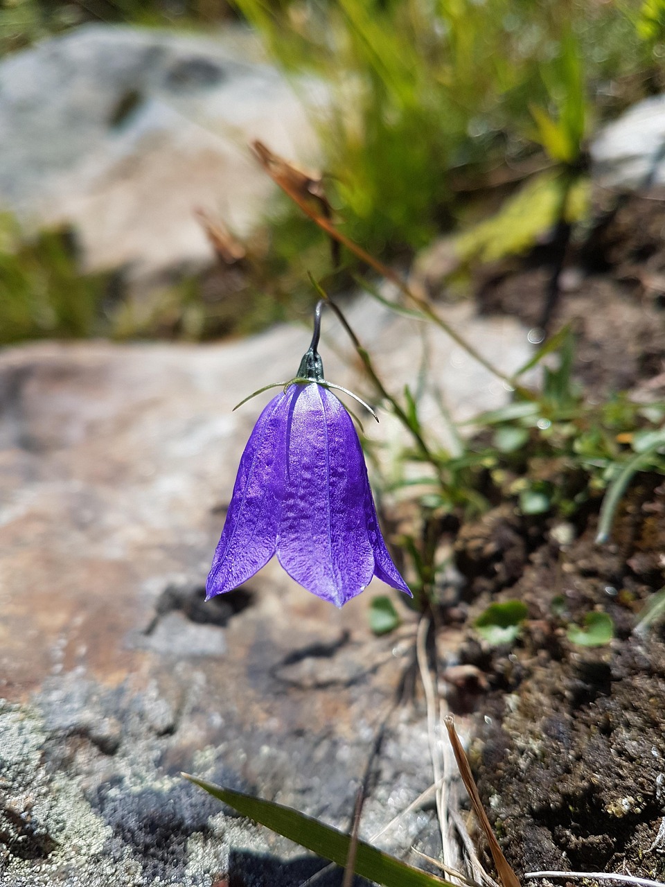 武昌花堤街最新動態更新，今日焦點揭秘