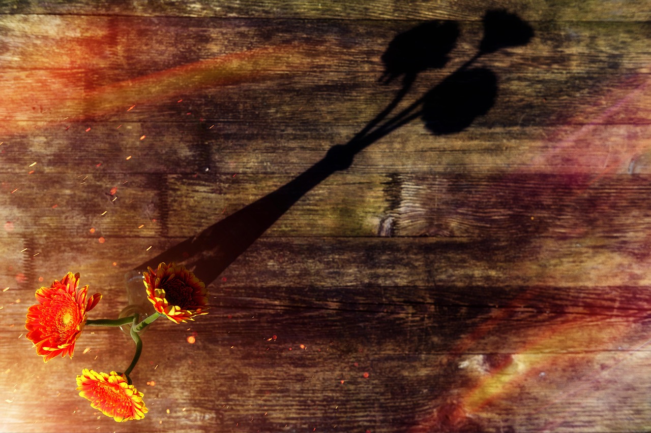 余岳桐新作,今日藝術探索與明日期待展望