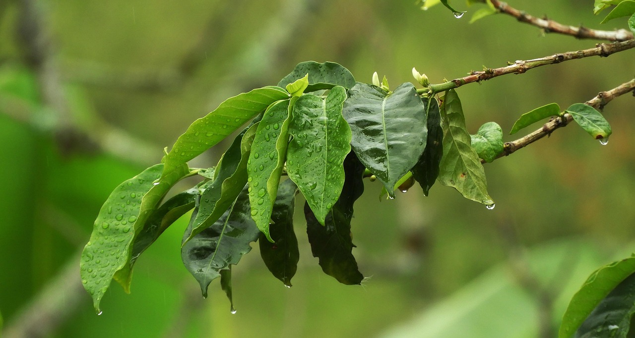 最新歐洲疫情動態更新，今日疫情狀況及發展趨勢