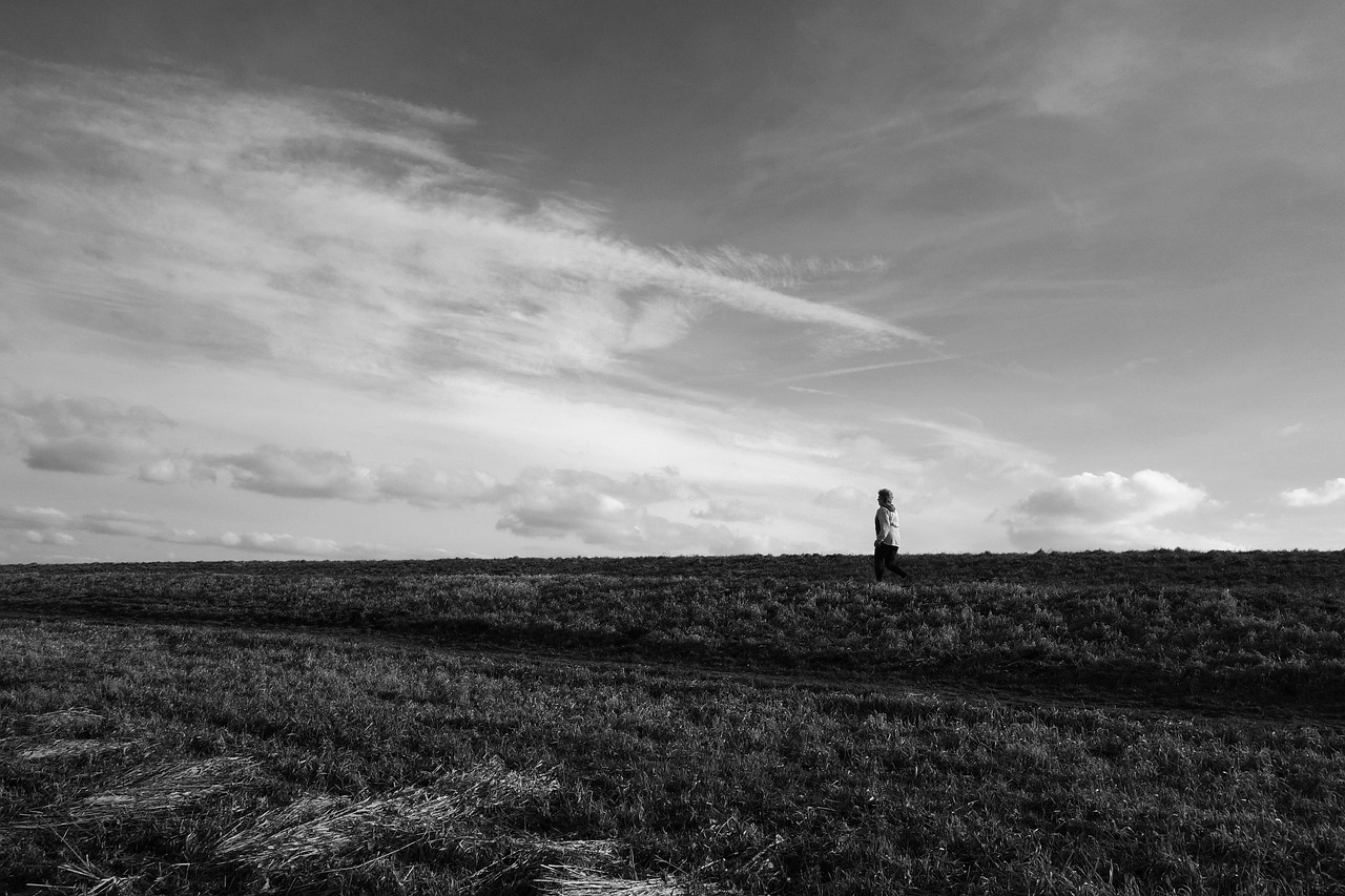 信宜市最新工廠招聘信息發布,今日招工動態及其影響