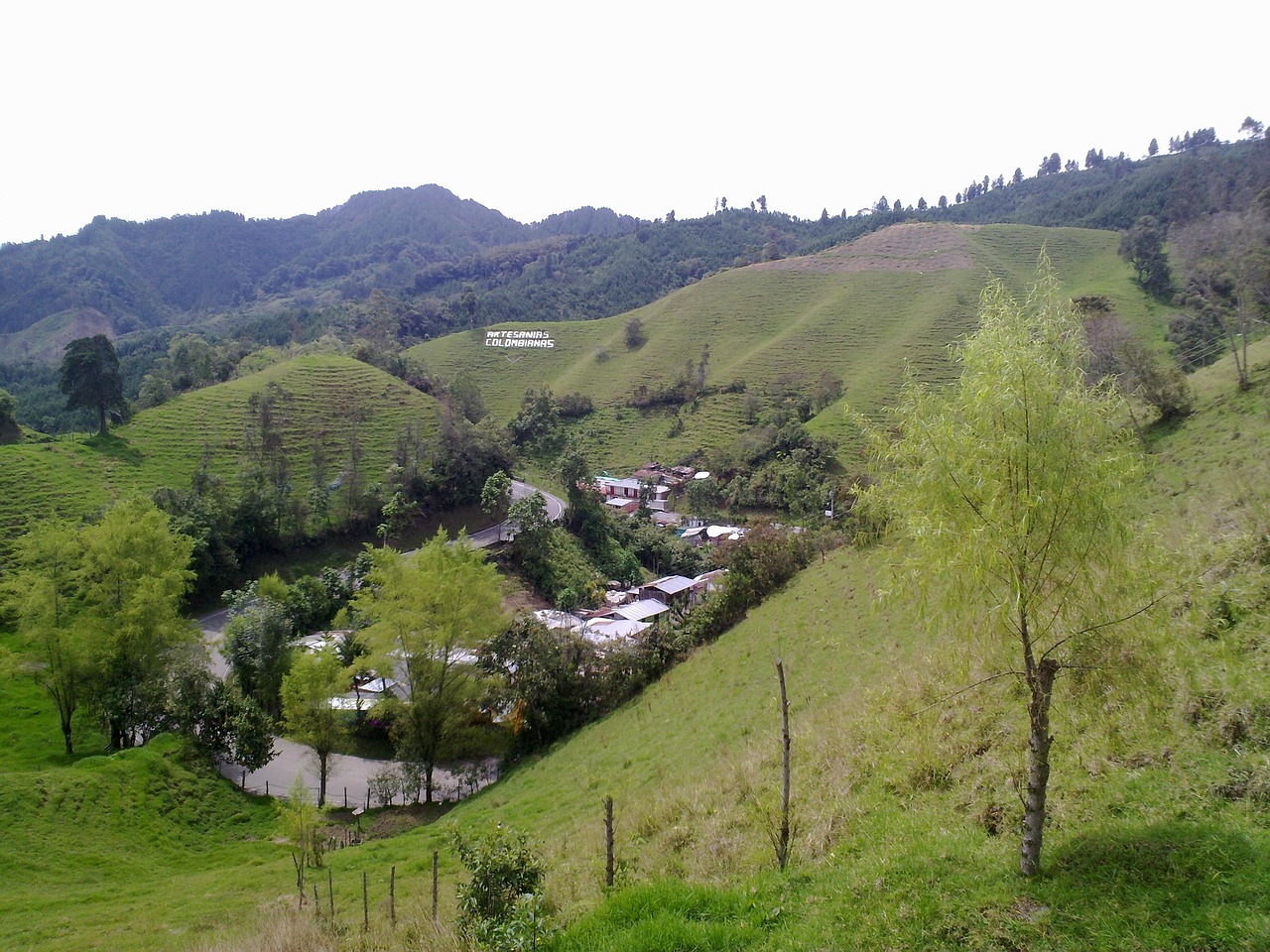 最新鄉村庭院風貌與魅力展示