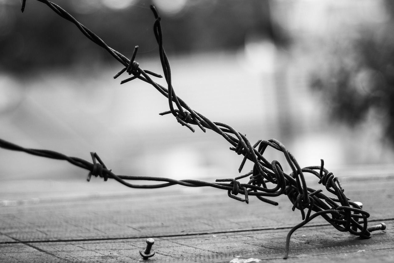 今日歐美SM電影,探索藝術邊界的視聽奇旅