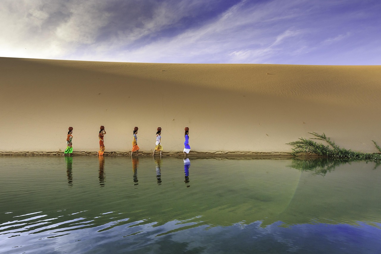 少數民族明星,文化融合中的閃耀光芒與影響力