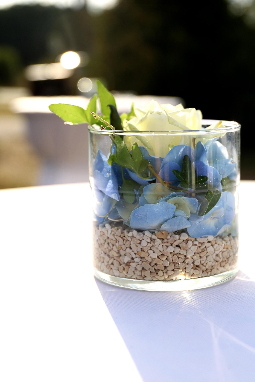 鹿晗婚訊最新動態更新今日消息揭秘