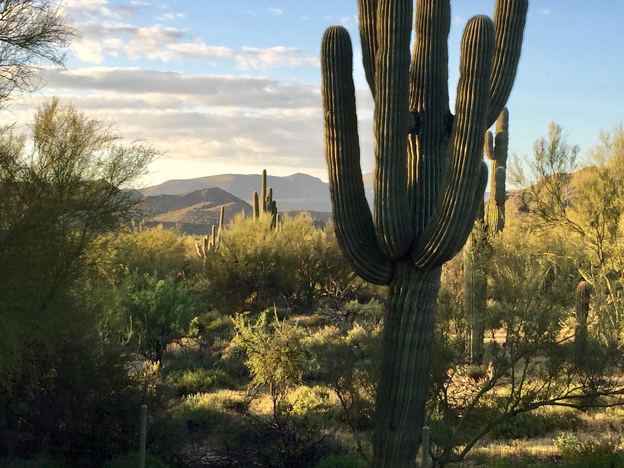 今日宇宙新動態揭秘,探索奧秘與前沿科技進展