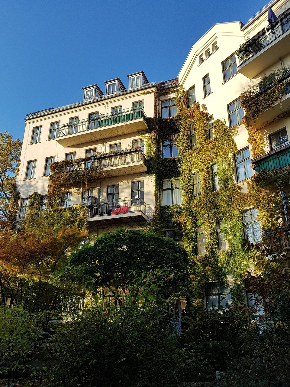 初夏鳳情 第7頁