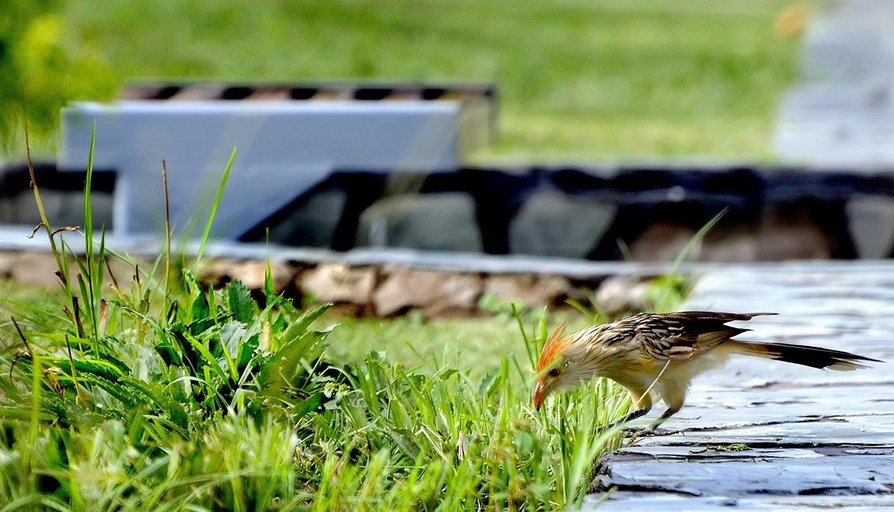 中山金鷹廣場最新動態更新今日資訊
