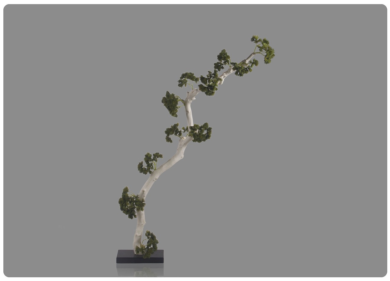 今日最新感人心弦作品欣賞