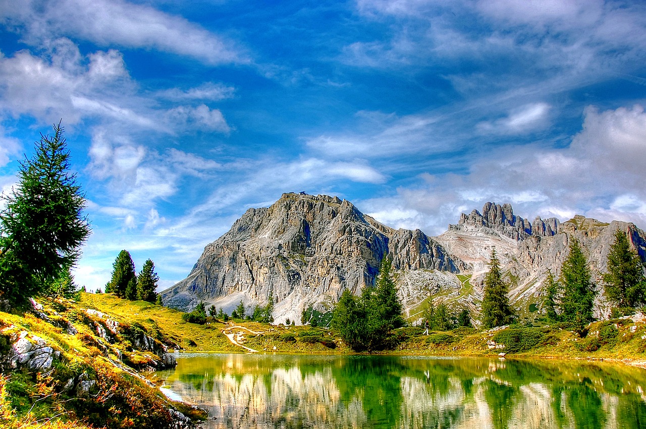 陳亞蘭最新動態,今日關注焦點