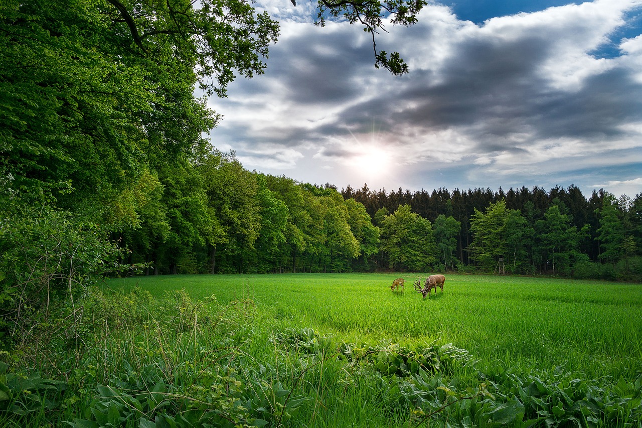 西安至大荔最新動態深度解析報告