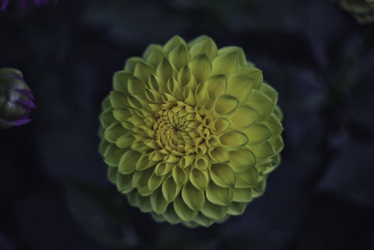 4月白河灘水電站最新動態報告,了解最新進展與動態