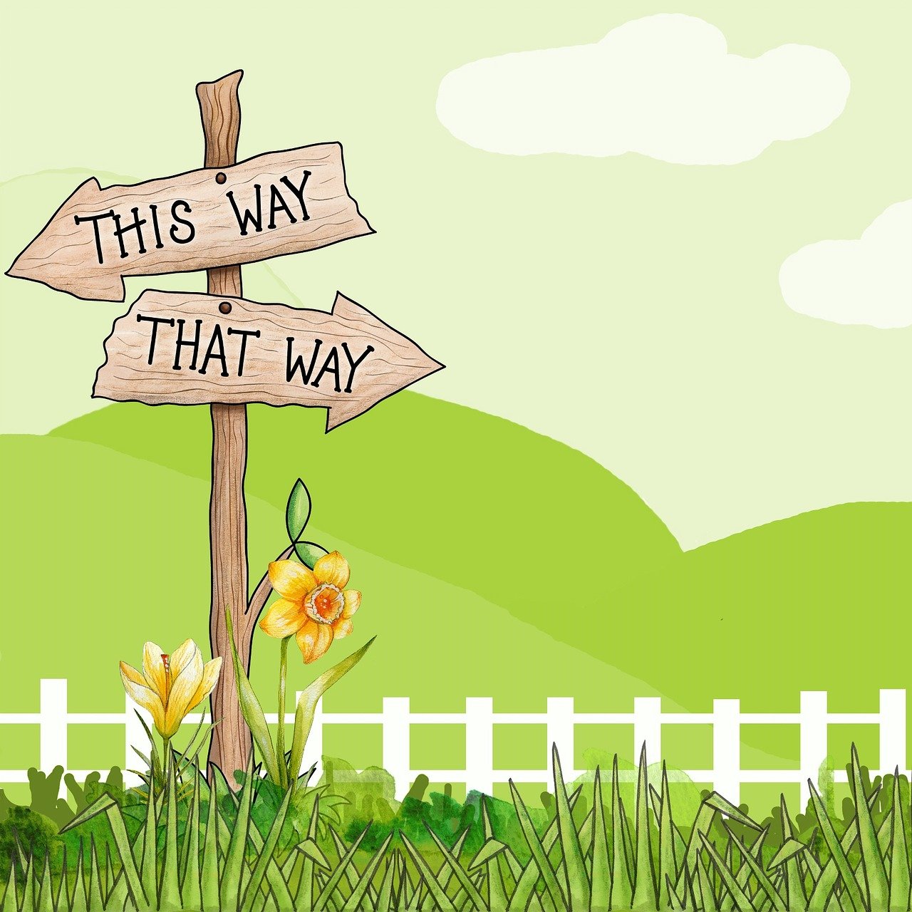 四月種植比賽,綠色夢想與競技激情的碰撞