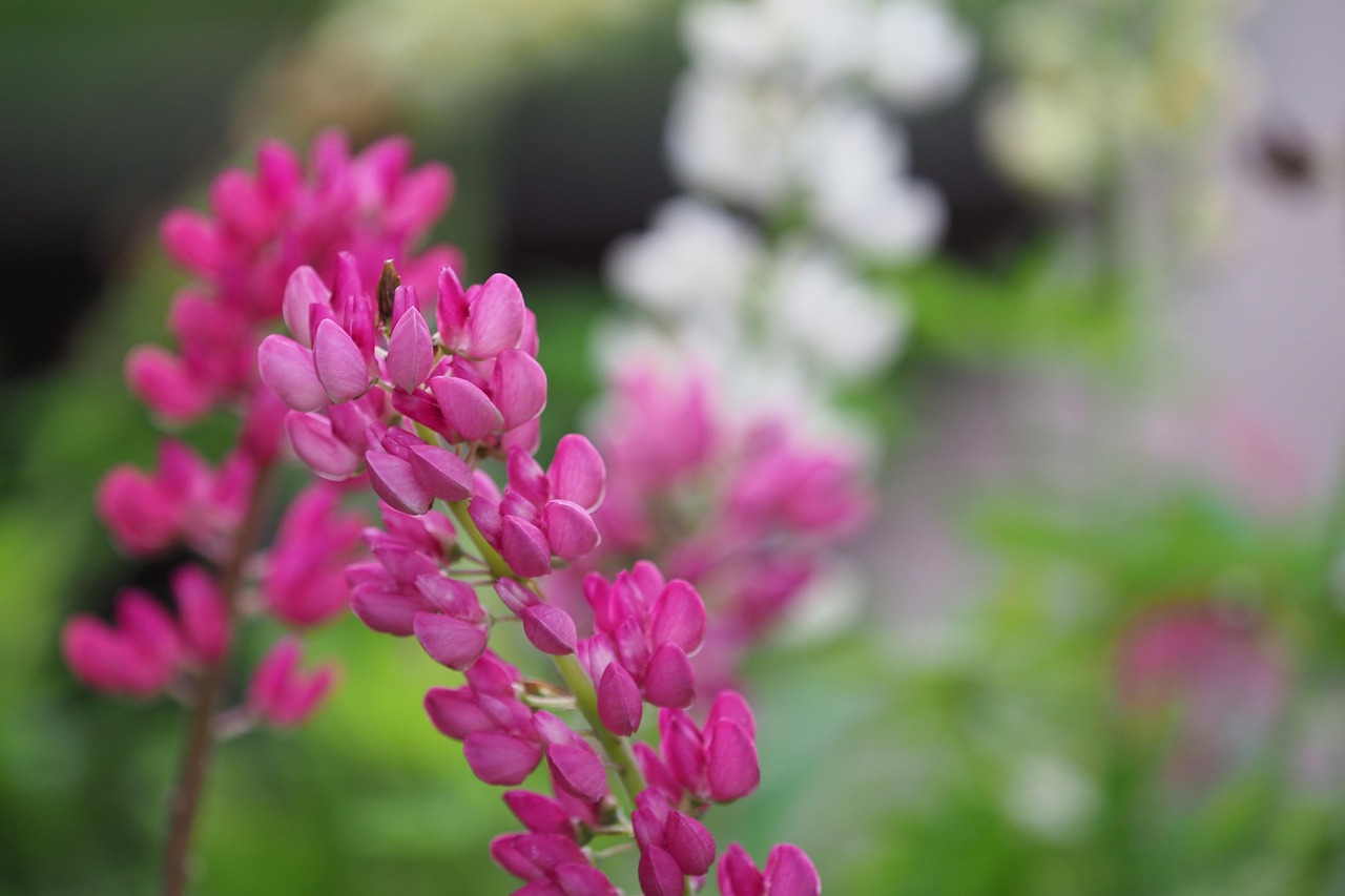 四川與新疆地震最新動態，今日發布四月份關注焦點