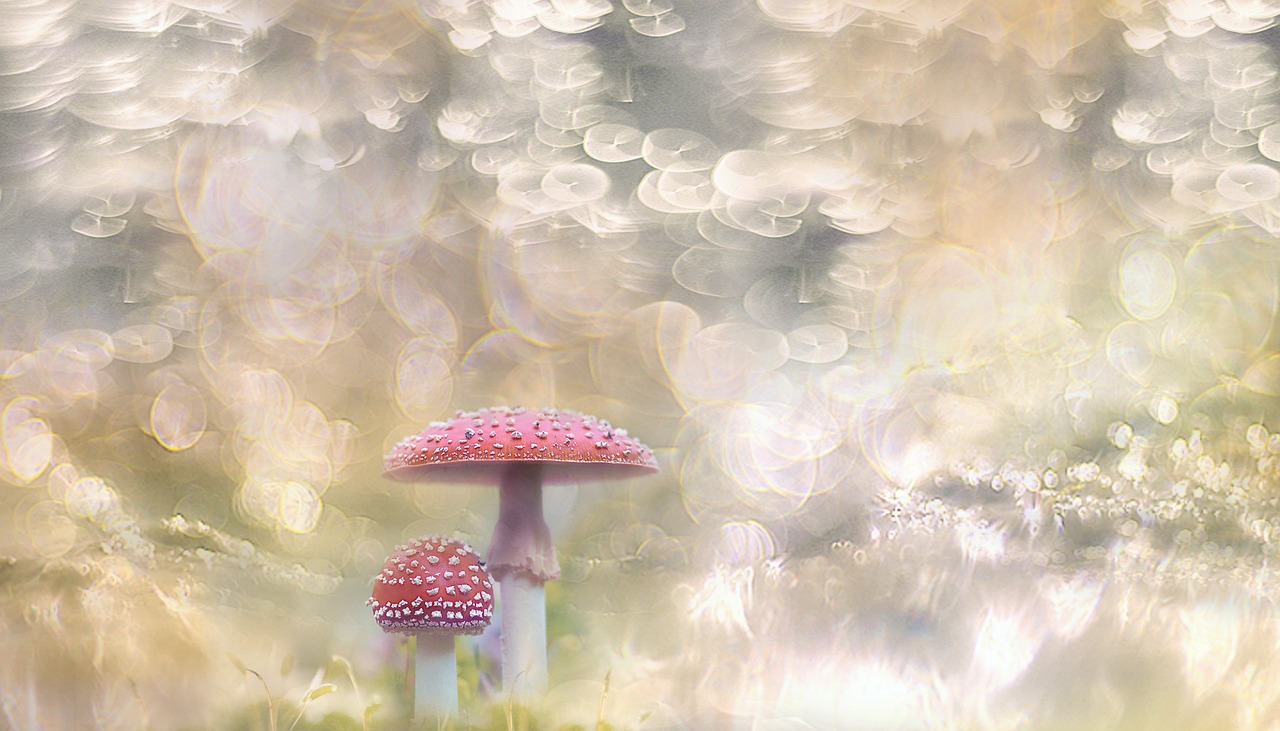 四月新疆最新疆情動(dòng)態(tài)概覽