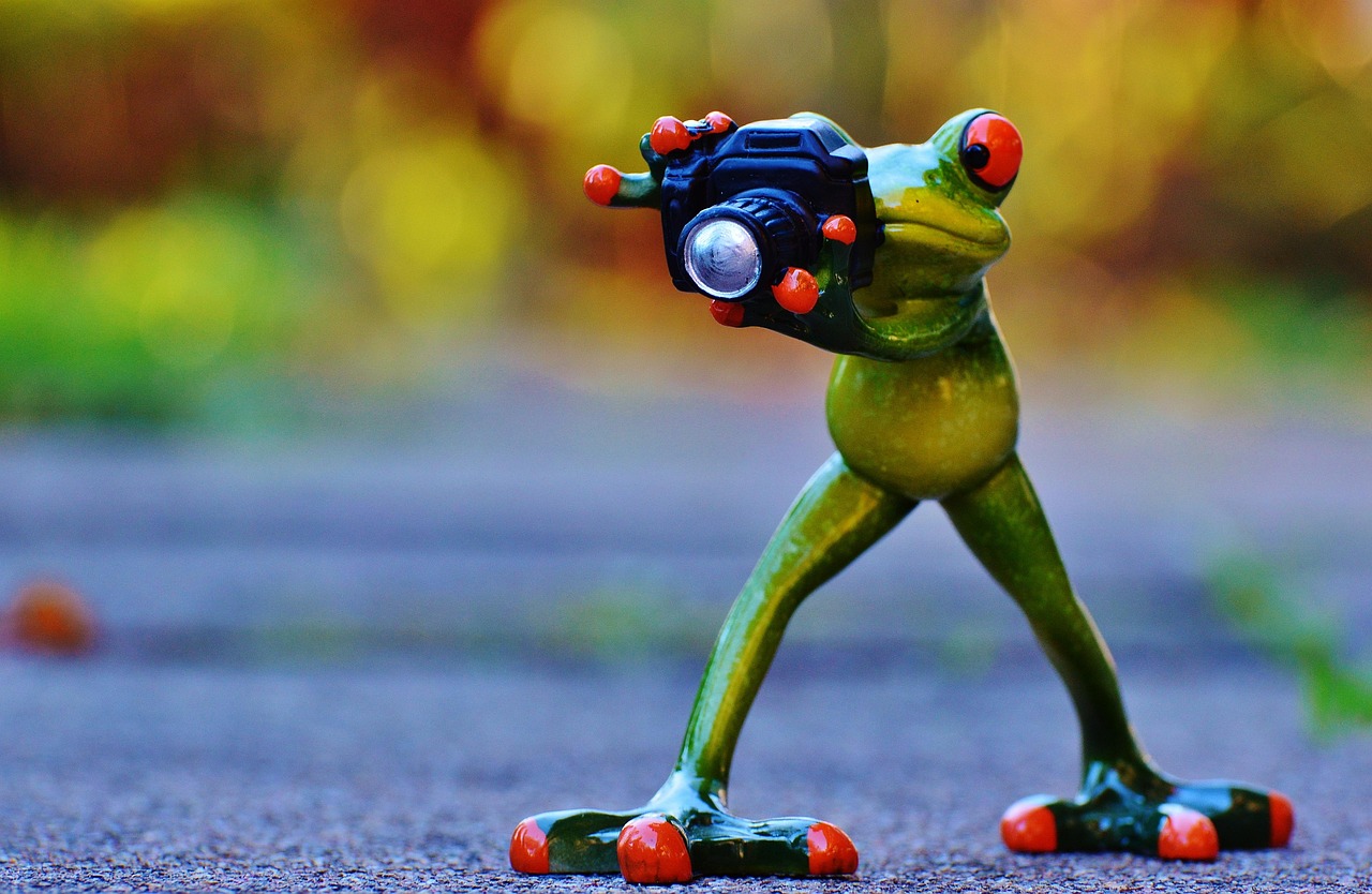 四月魯班動漫圖片探秘,走進動漫的世界