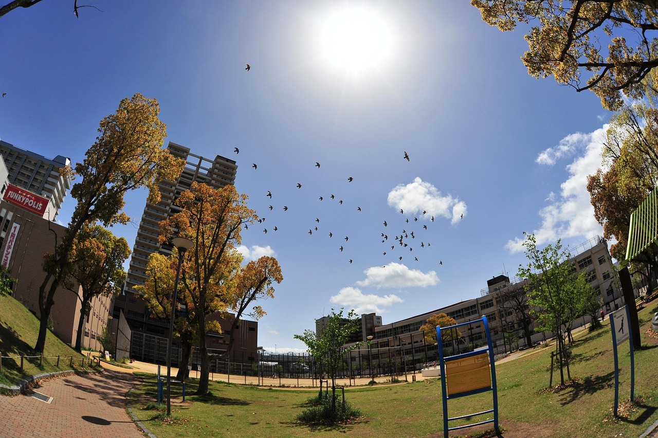 揭秘四月黃金票最新動態(tài)，黃金投資的最佳時機來臨？