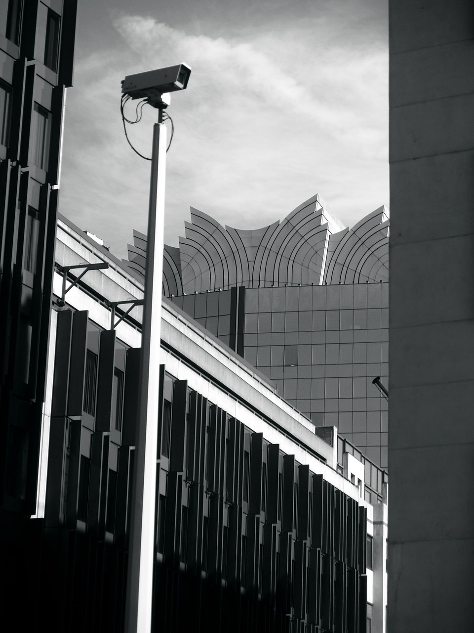 亳州立德鎮四月最新動態更新，最新發展一覽無余