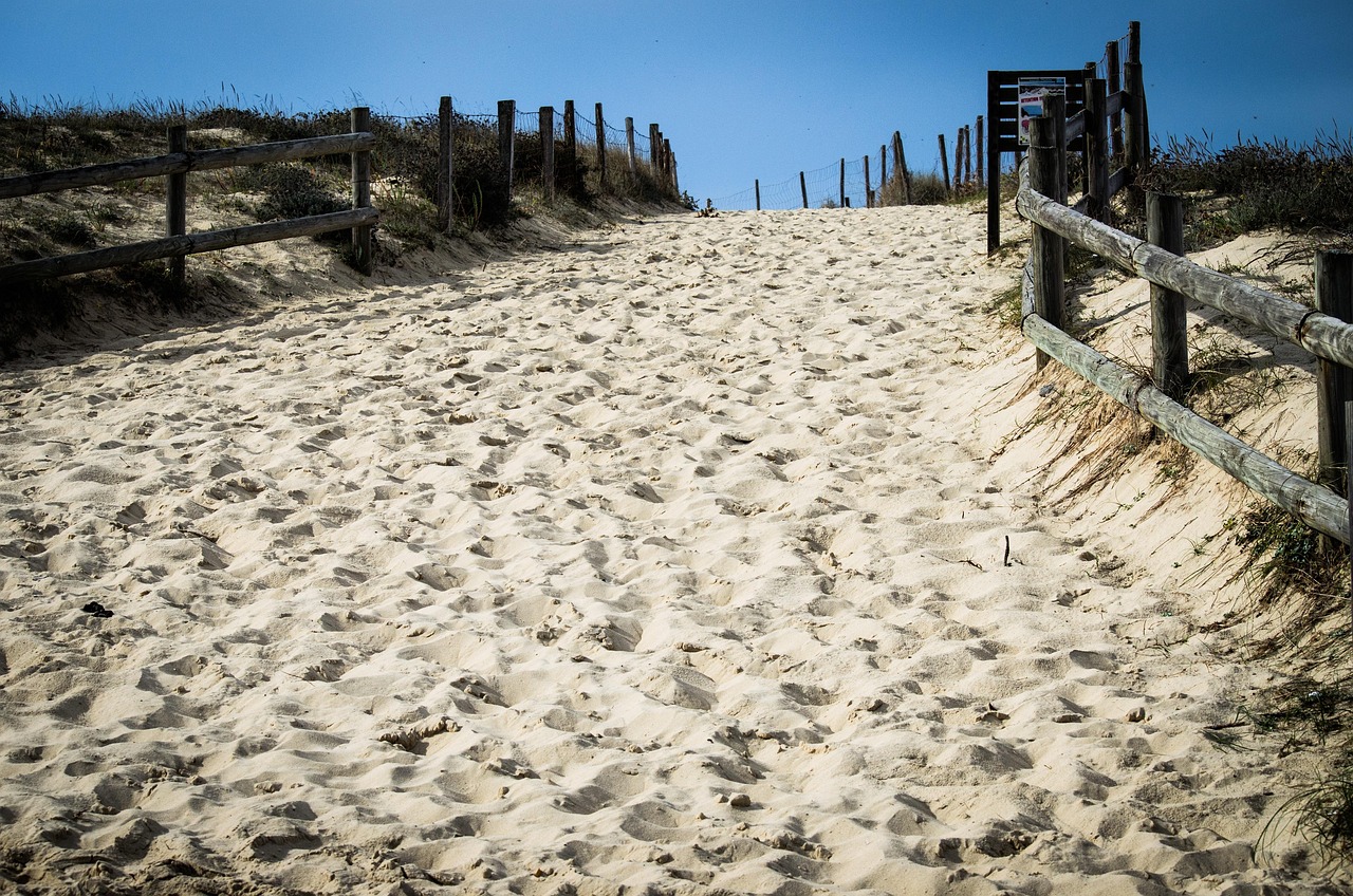 揭秘江海東最新動(dòng)態(tài),四月地平線的變化與未來展望
